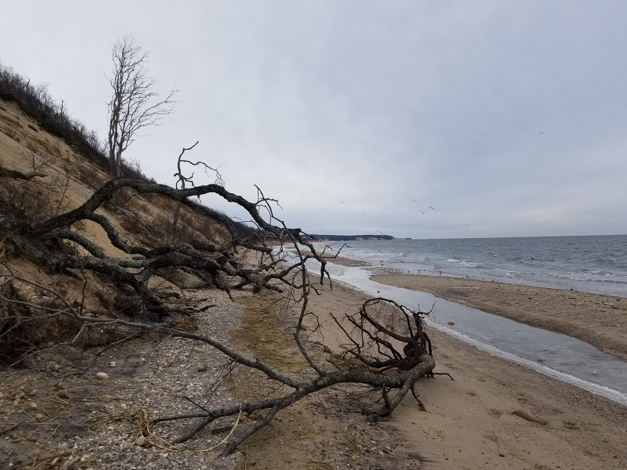 A 5 miles hike.    ~~  High Tide suprise made this difficult