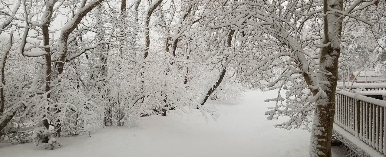 Winter February on Long Island 2021  ~~  Got some snow and it stayed!