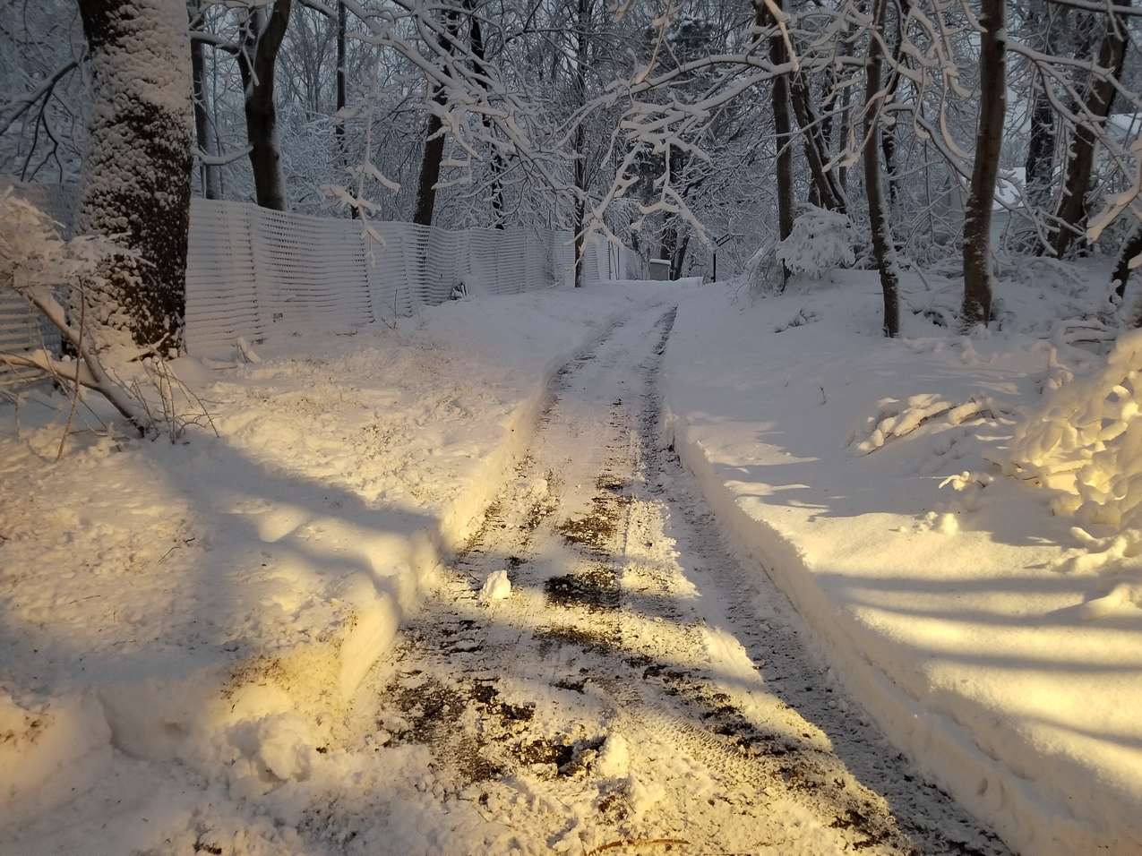 Winter February on Long Island 2021  ~~  Got some snow and it stayed!