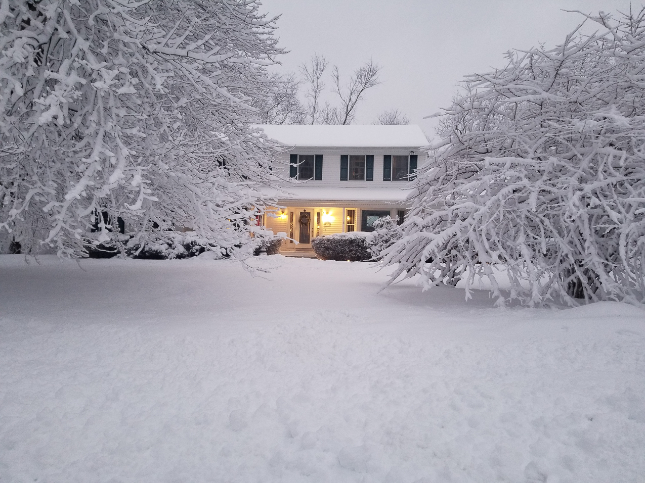 Winter February on Long Island 2021  ~~  Got some snow and it stayed!