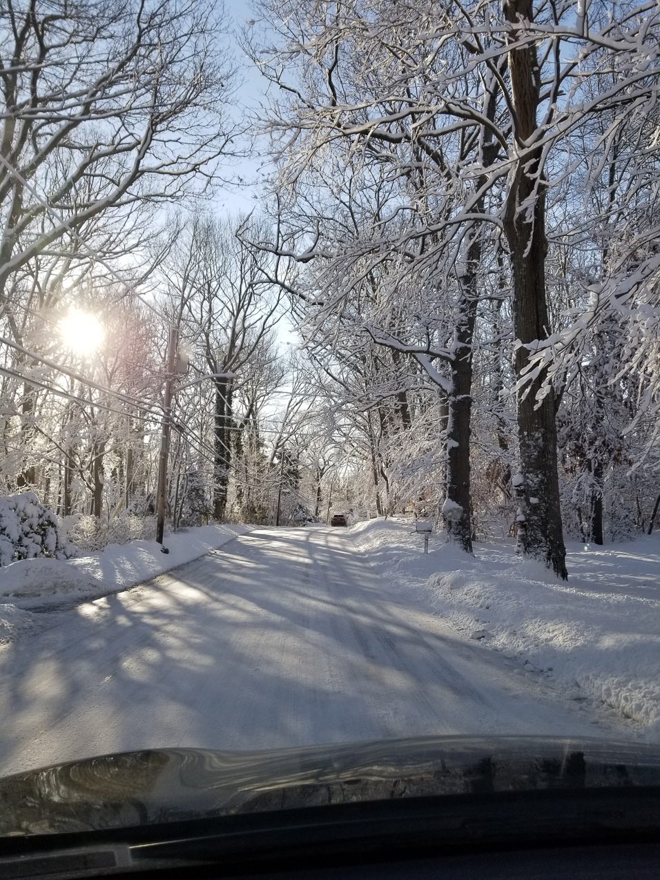 Winter February on Long Island 2021  ~~  Got some snow and it stayed!