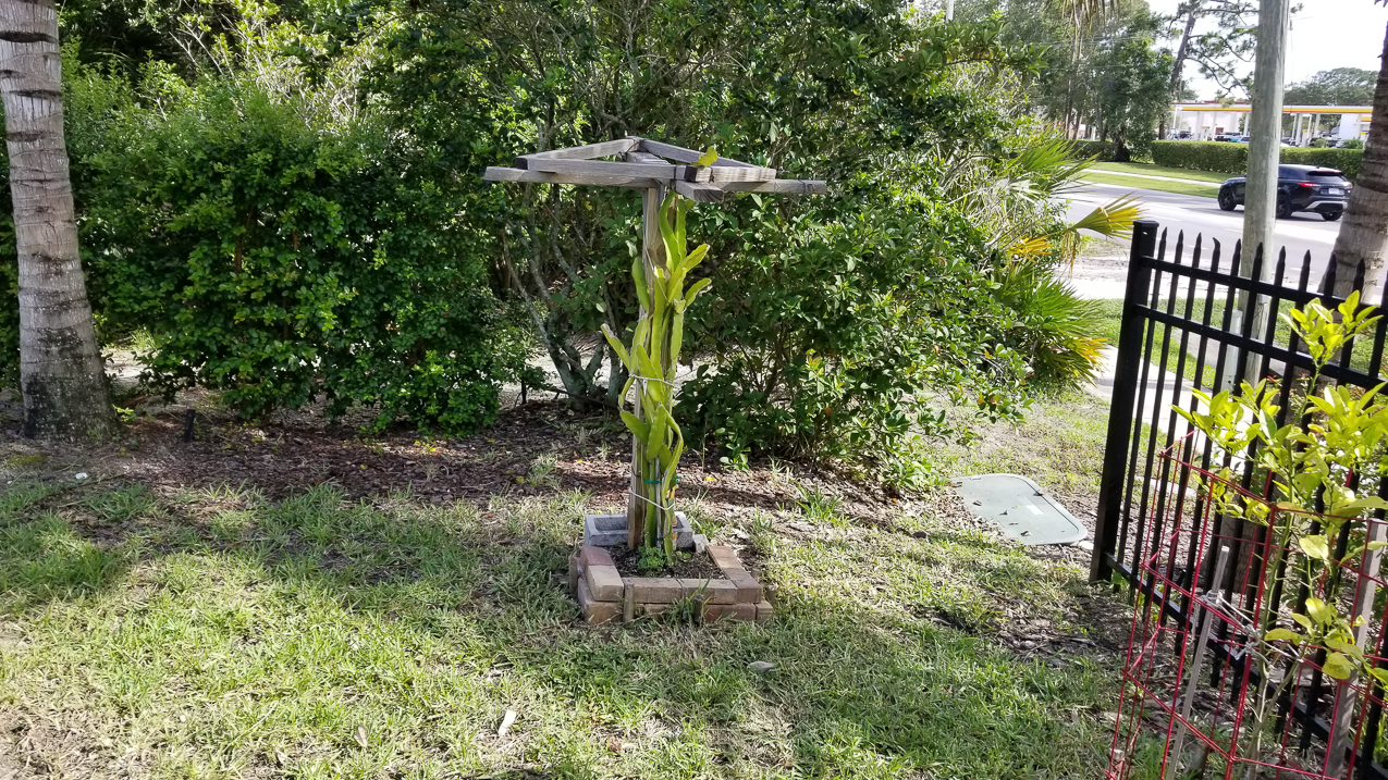 Florida - Conhfish Lane Osprey FL the new Lynch Shack for a year of so  ~~  