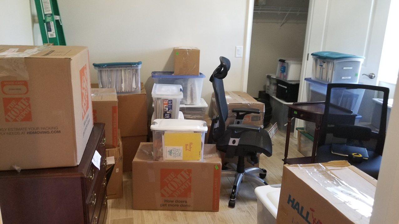 Conchfish Furniture Finally Arrives  ~~  