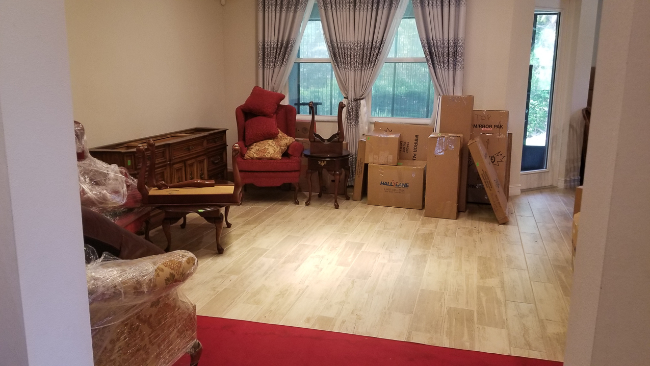 Conchfish Furniture Finally Arrives  ~~  