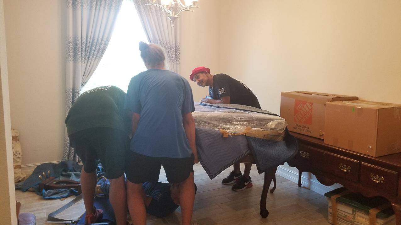 Conchfish Furniture Finally Arrives  ~~  