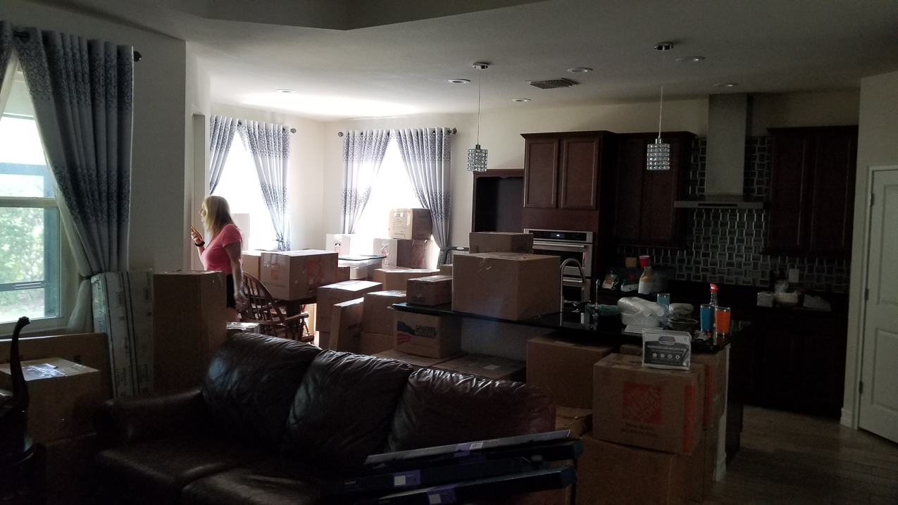 Conchfish Furniture Finally Arrives  ~~  