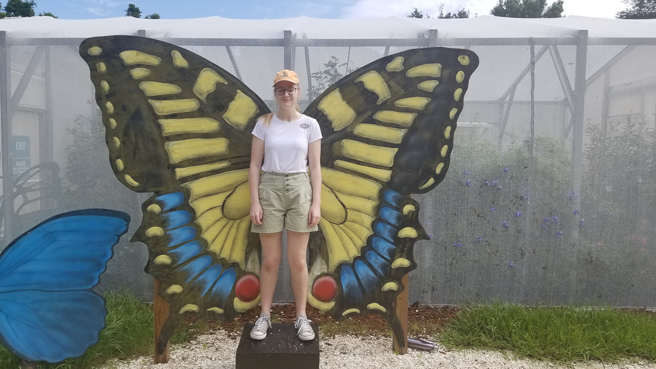 Osprey and Nokomis and Venice Beaches and the area  ~~  