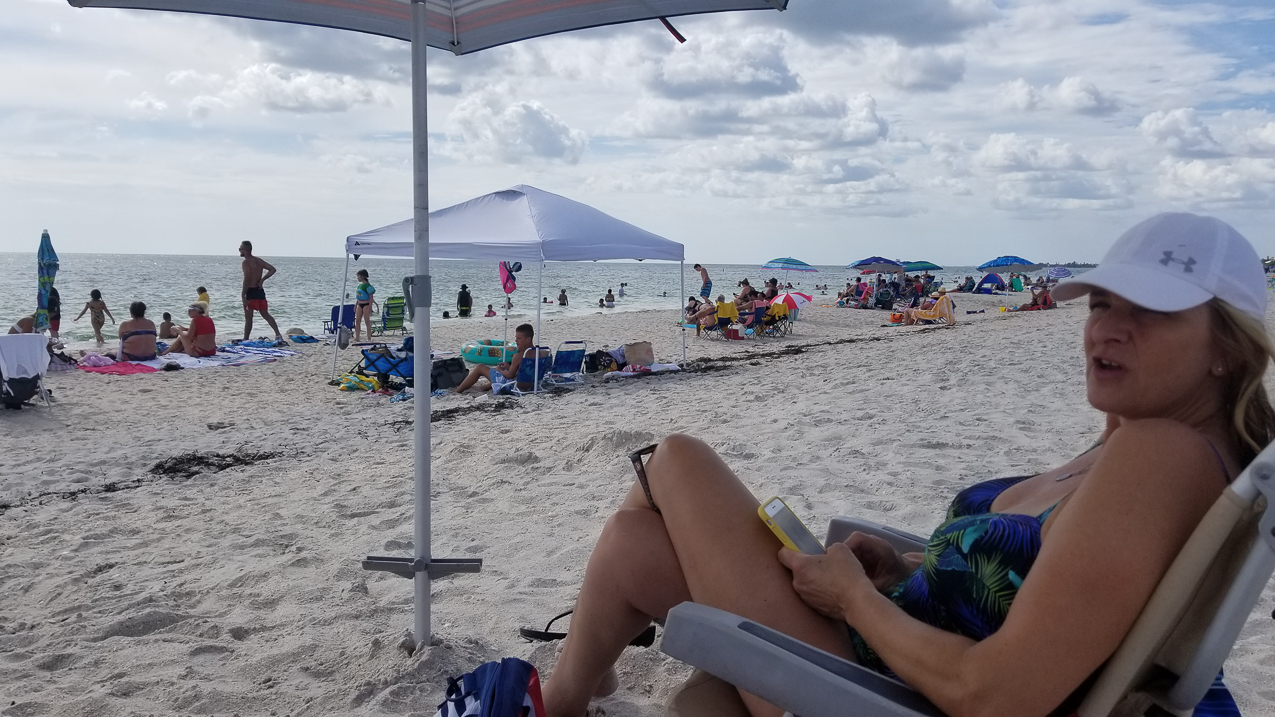 Osprey and Nokomis and Venice Beaches and the area  ~~  