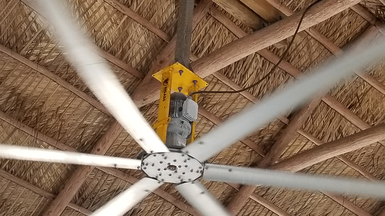 Big Ass Fan  ~~  