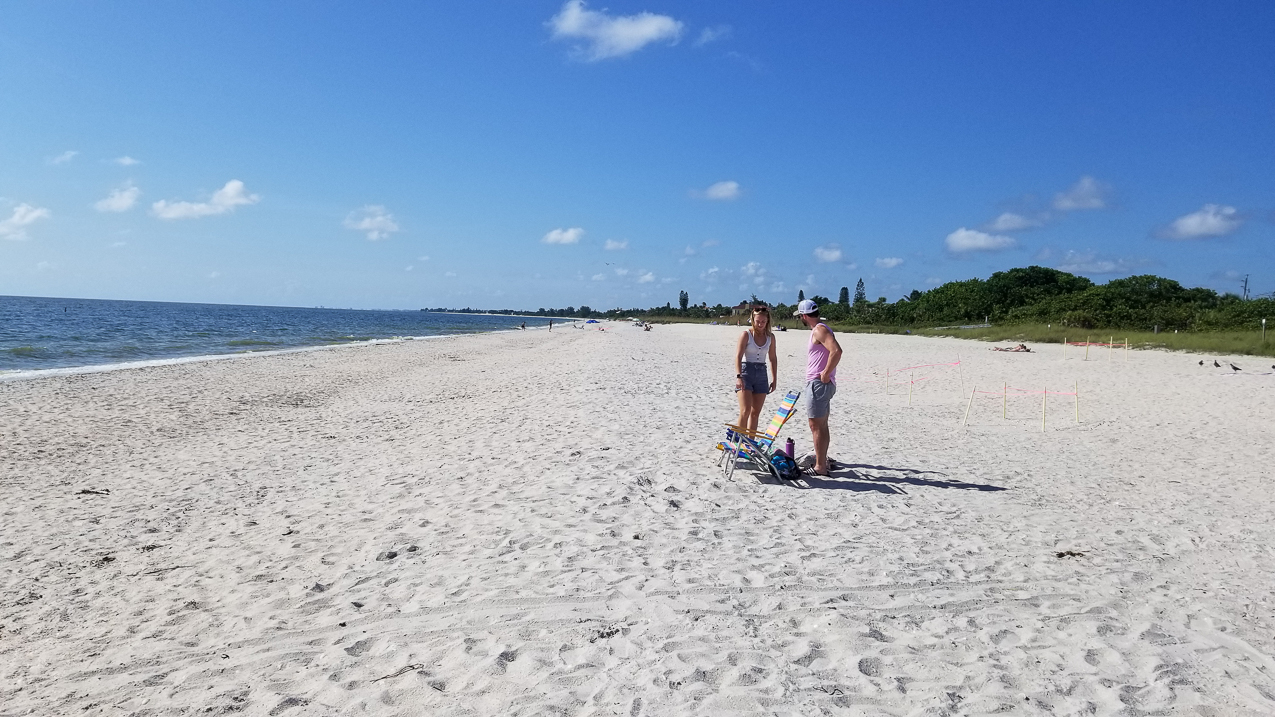 Red Tide Death at Nokomis Beach  ~~  
