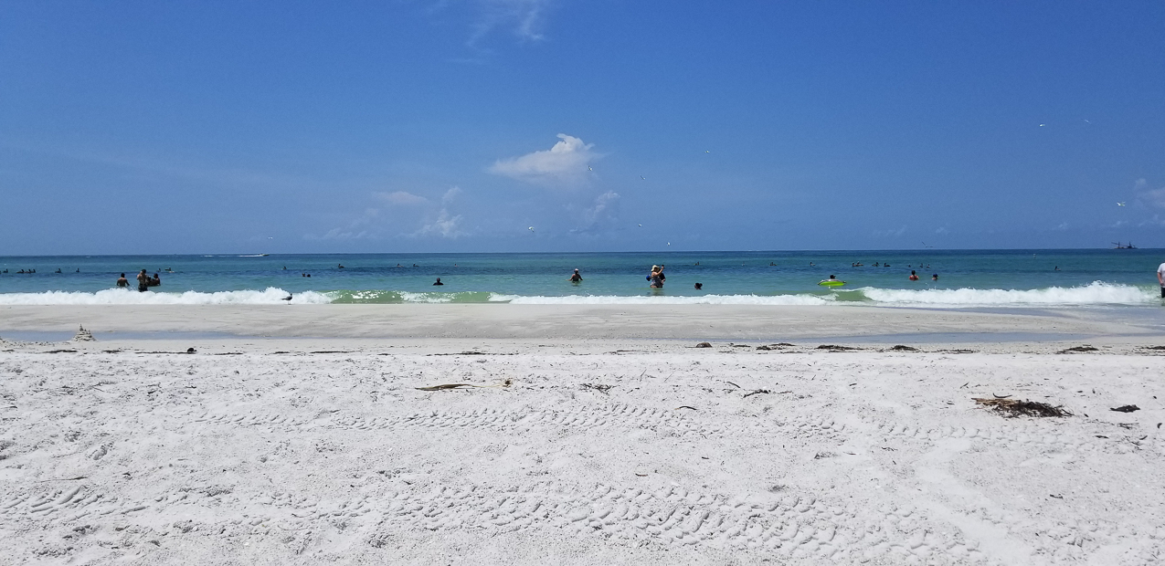 Sarasota Beach wqith no Red Tide!!!  ~~  