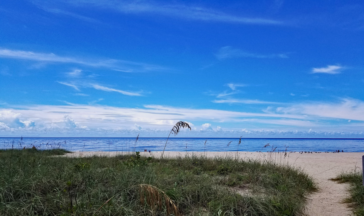 Down the beach September 15 2021  ~~  