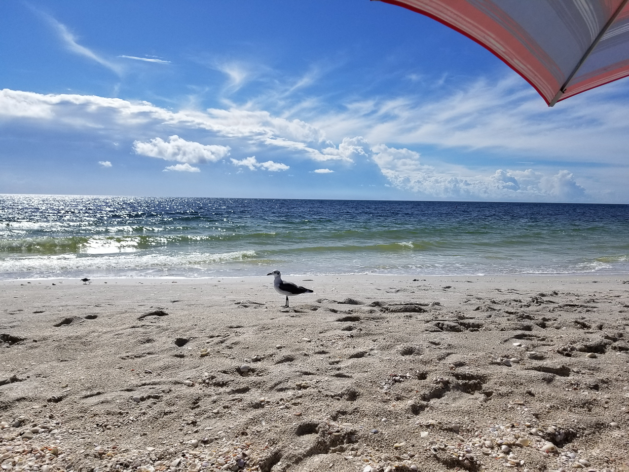 Down the beach September 15 2021  ~~  