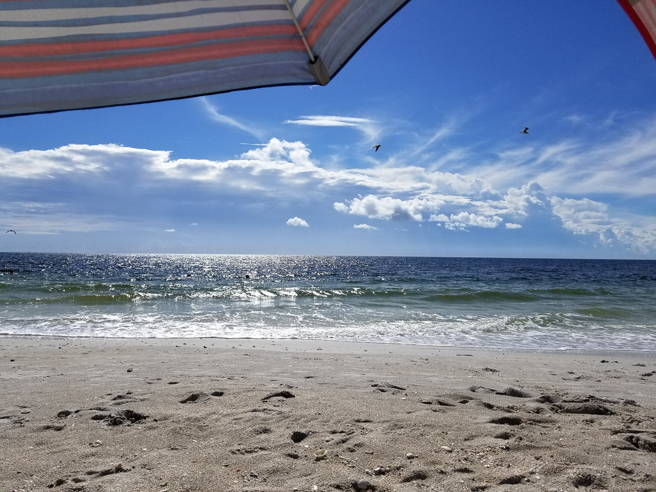 Down the beach September 15 2021  ~~  