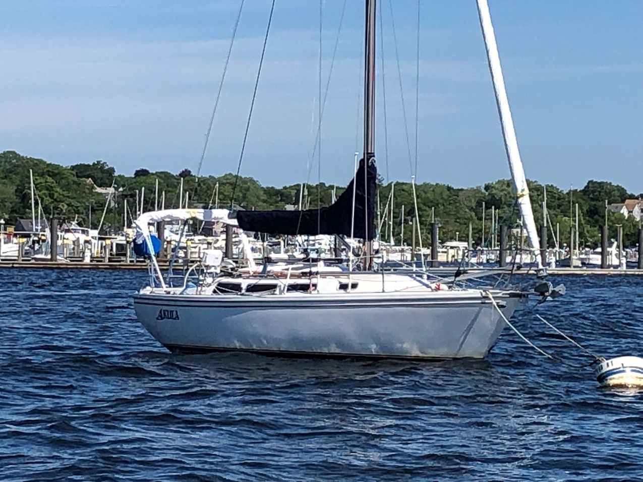 Akula spotting in New London CT!!!  June 2021  ~~  