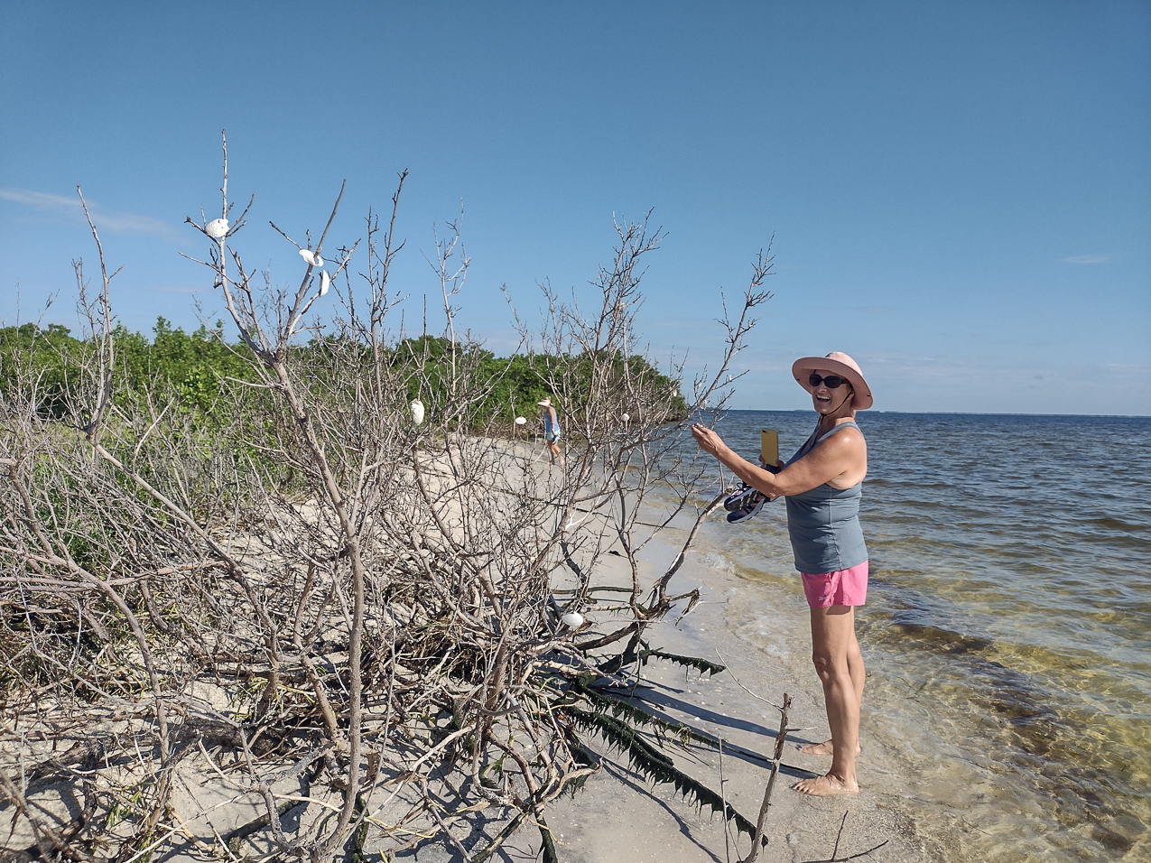   ~~  CAYO COSTA ISLAND trip aboard Seaventure September 2021