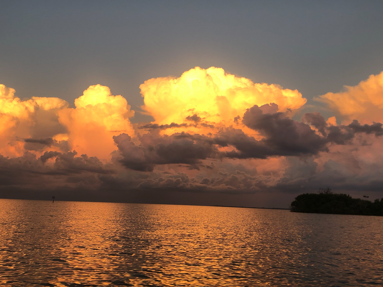   ~~  CAYO COSTA ISLAND trip aboard Seaventure September 2021