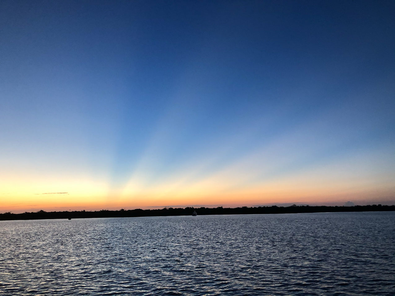   ~~  CAYO COSTA ISLAND trip aboard Seaventure September 2021