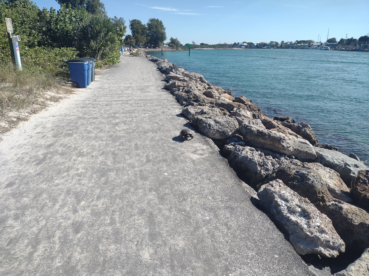 December 1 bike ride...beautiful water and beach and harbor  ~~  