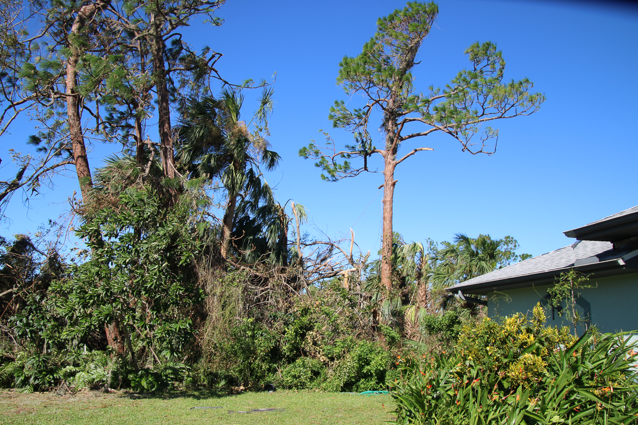   ~~  October 2 202 Day at MomMoms cleaning up after CAT 4 Hurricane IAN