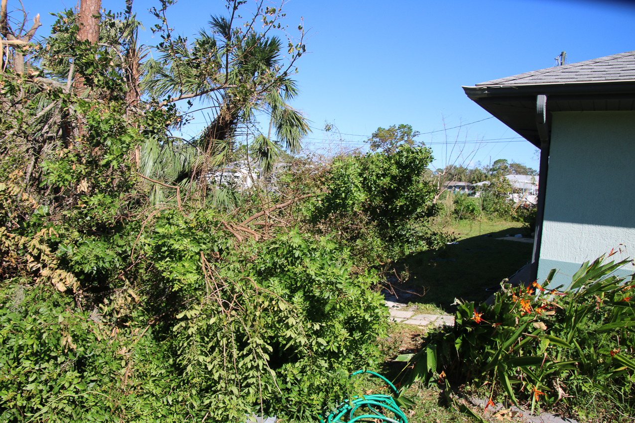   ~~  October 2 202 Day at MomMoms cleaning up after CAT 4 Hurricane IAN