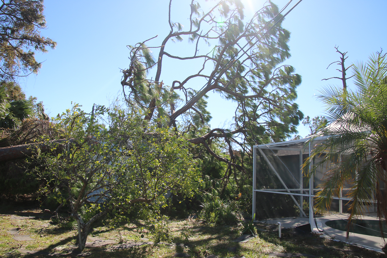   ~~  October 2 202 Day at MomMoms cleaning up after CAT 4 Hurricane IAN