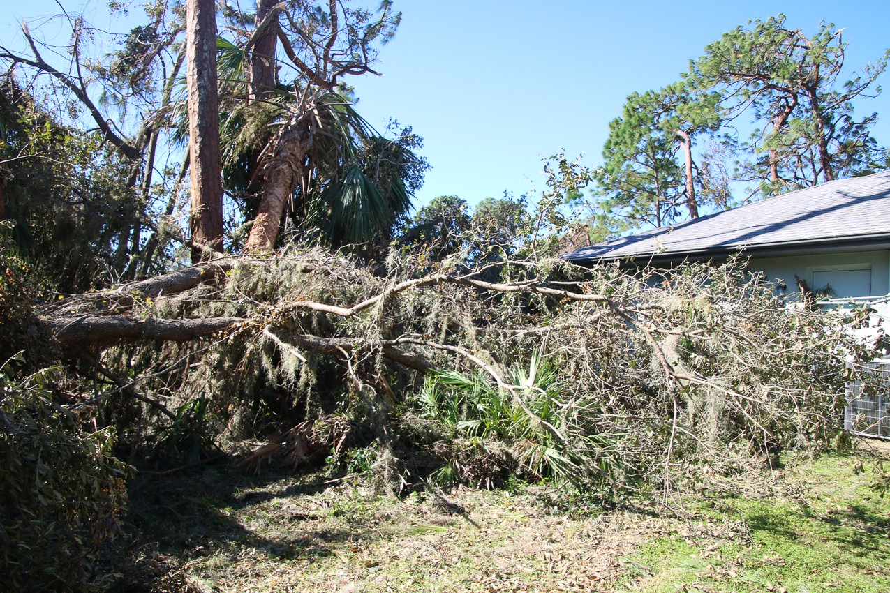   ~~  October 2 202 Day at MomMoms cleaning up after CAT 4 Hurricane IAN