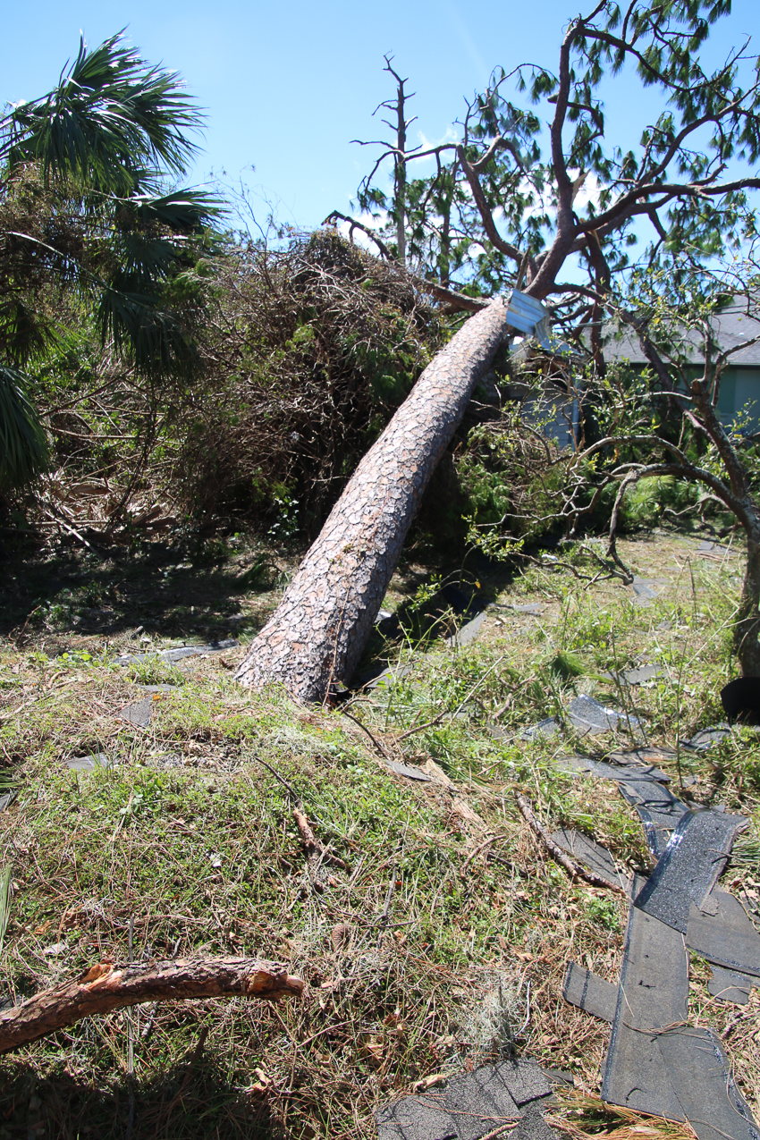   ~~  October 2 202 Day at MomMoms cleaning up after CAT 4 Hurricane IAN