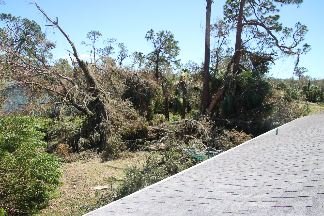   ~~  October 2 202 Day at MomMoms cleaning up after CAT 4 Hurricane IAN