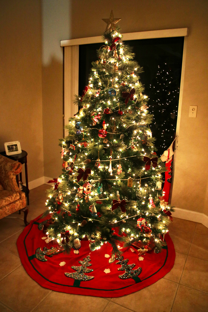 Christmas 2022 in FL  ~~  