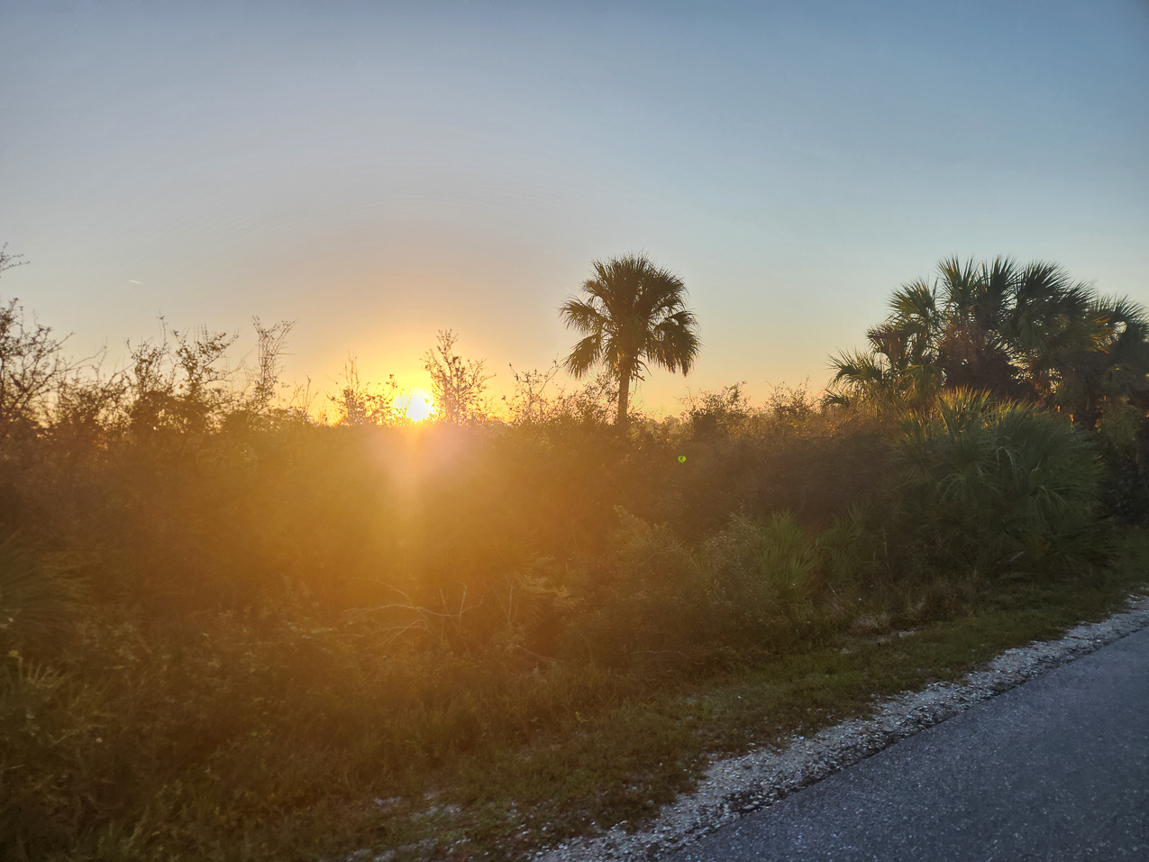 26 Mile (40k) Osprey to Shamrock Park on the Legacy Trail October 2022  ~~  