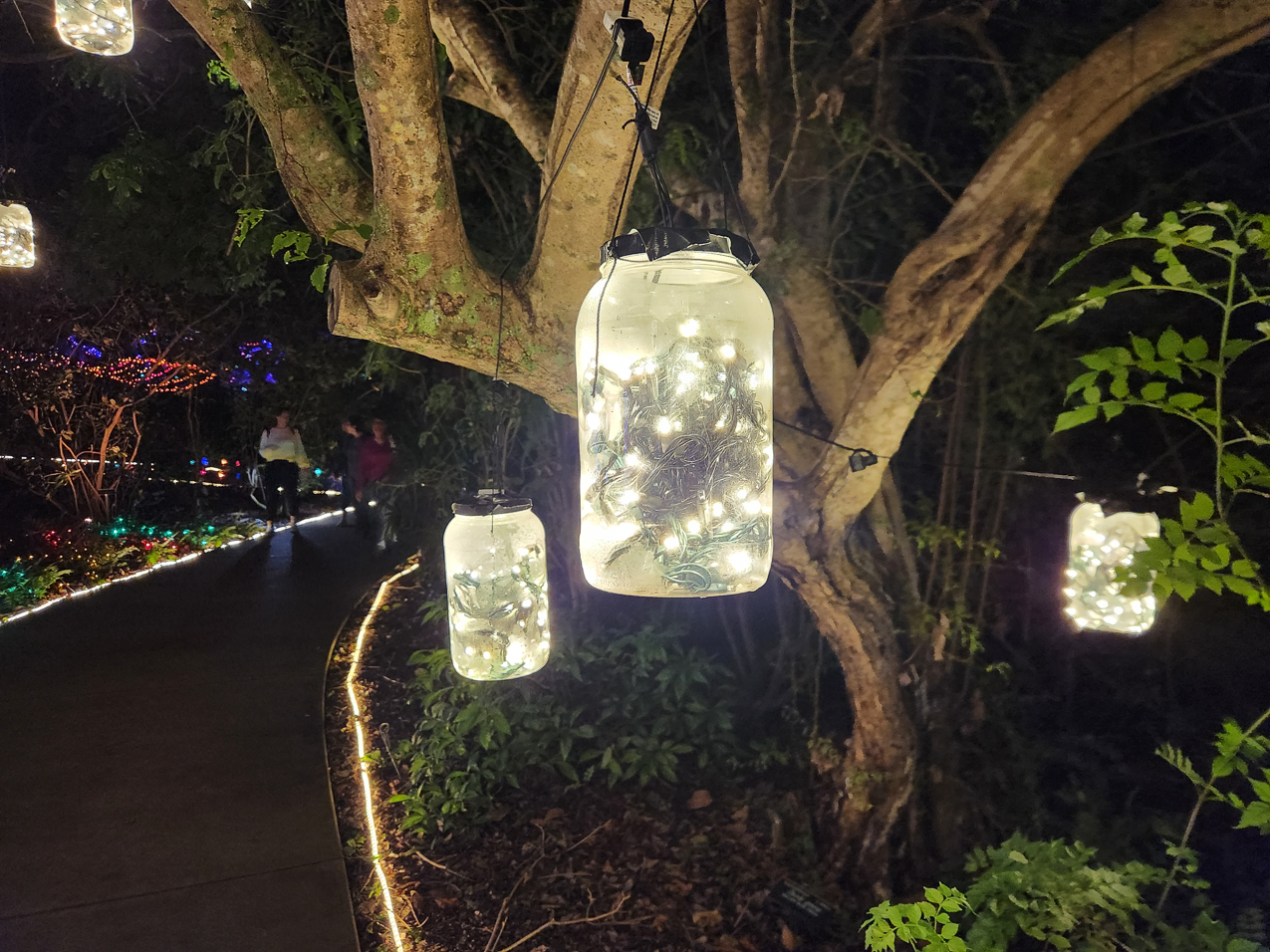 Selby Gardens Light Show December 2022  ~~  