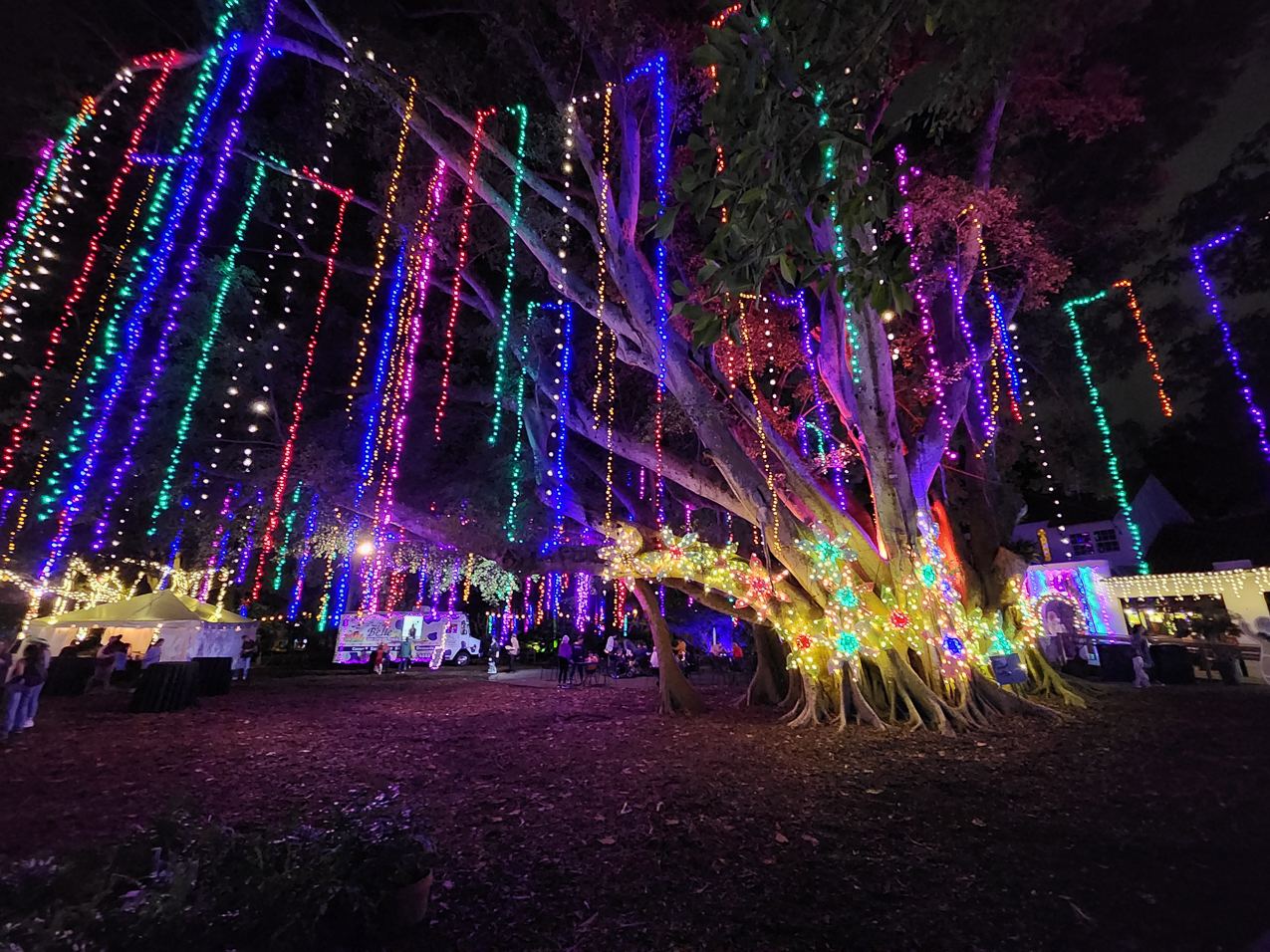 Selby Gardens Light Show December 2022  ~~  