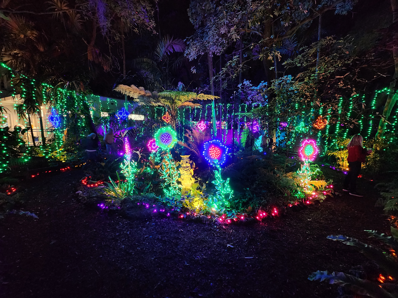 Selby Gardens Light Show December 2022  ~~  