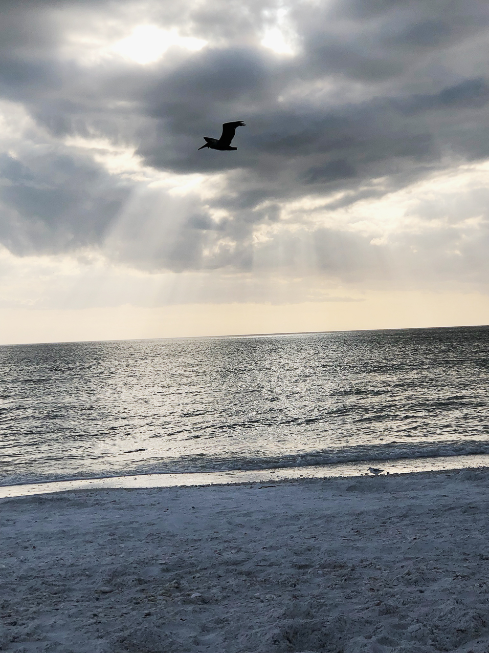 Trip to Naples with Gret  ~~  Visited with the Harts from NY.