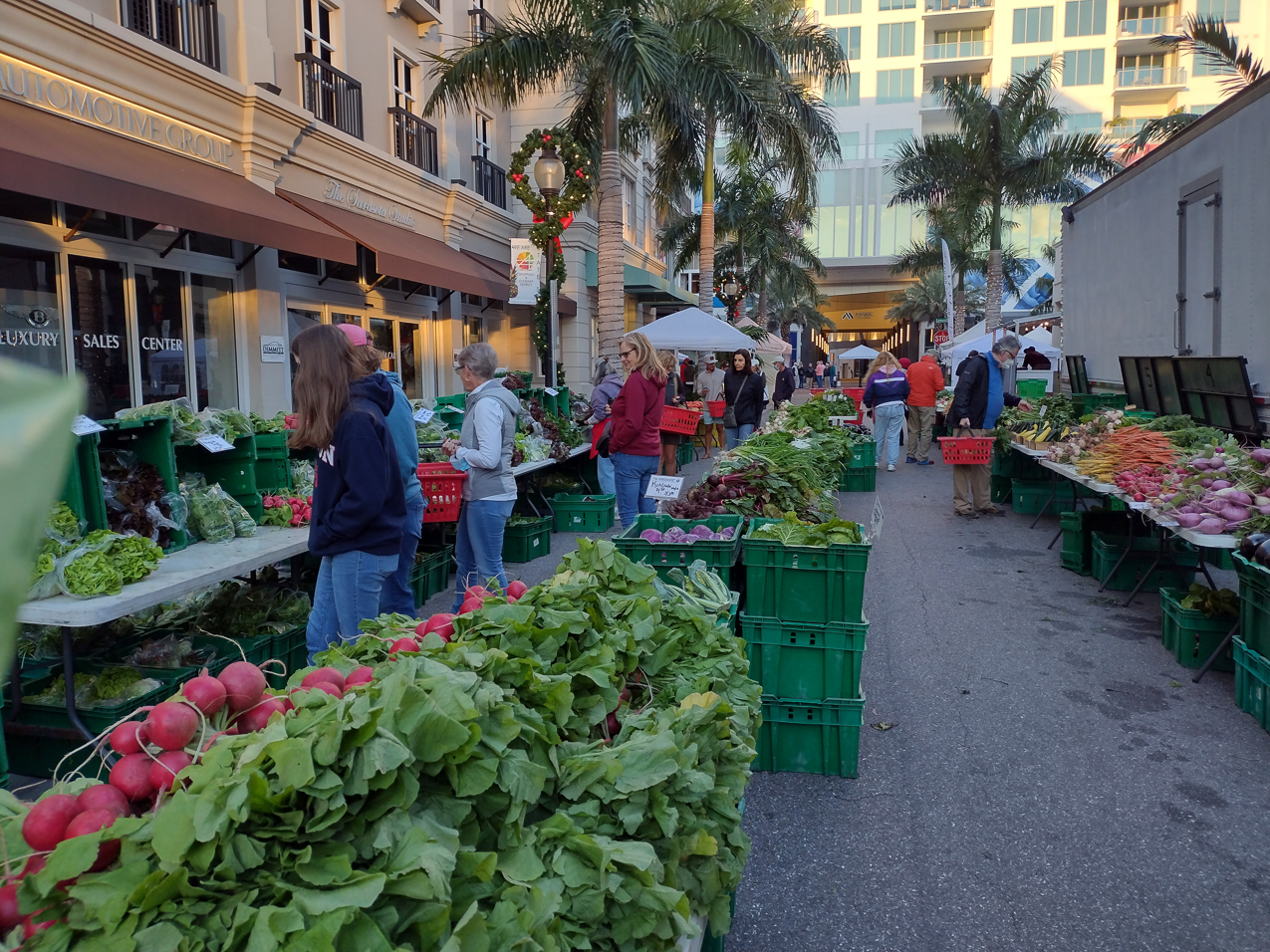 Sarasota Farmers Market Jan 2022  ~~  