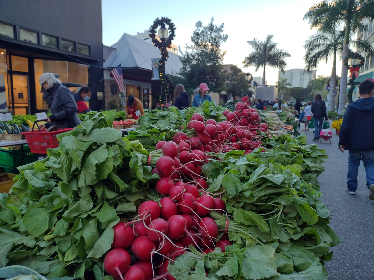Sarasota Farmers Market Jan 2022  ~~  
