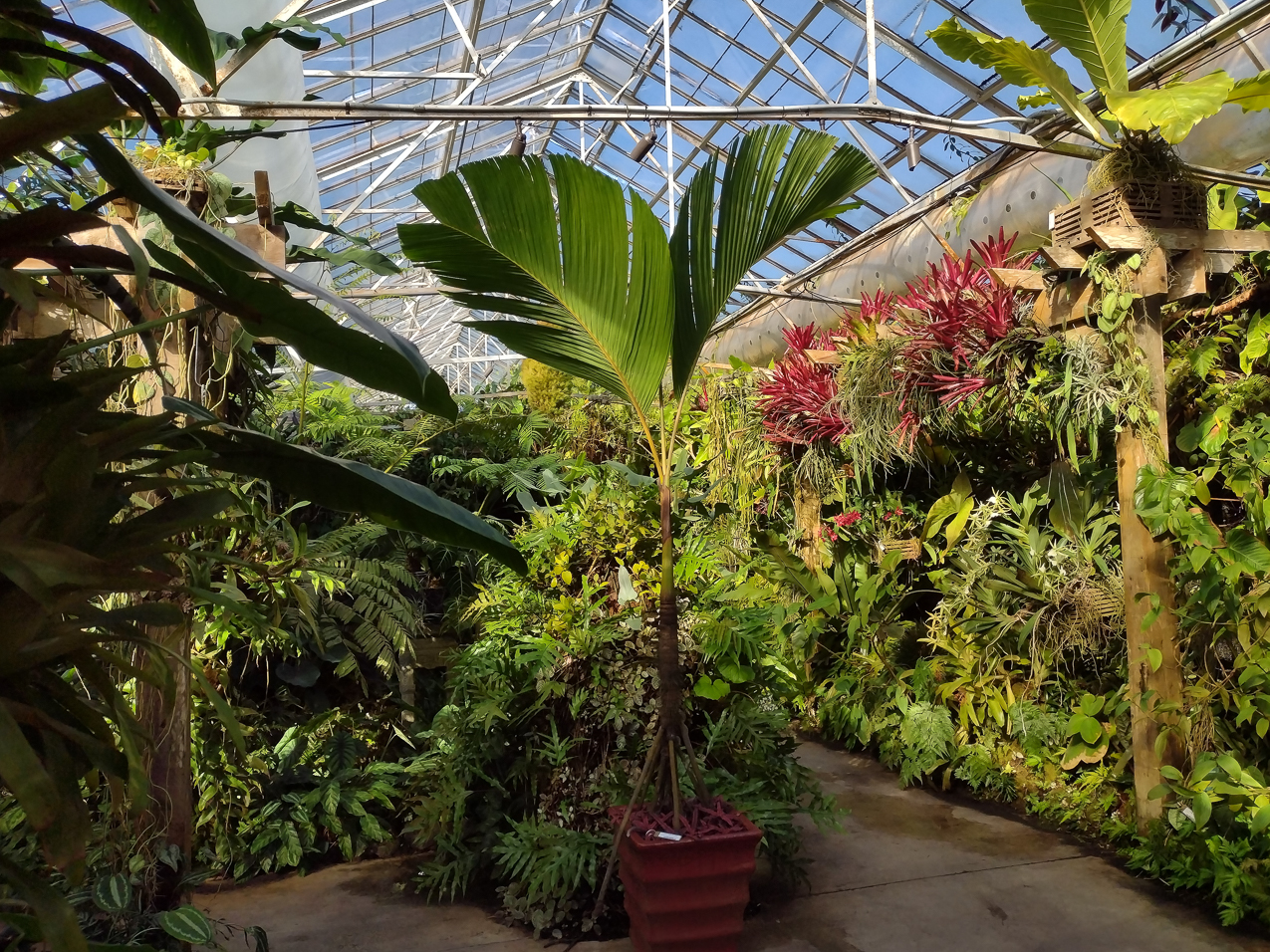 Selby Gardens Jan 2022  ~~  