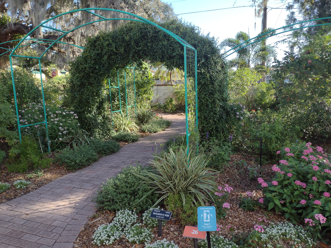 Selby Gardens Jan 2022  ~~  