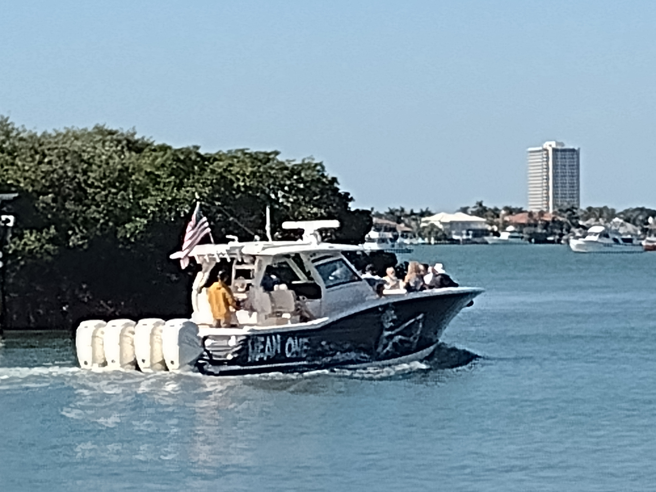 Selby Gardens Jan 2022  ~~  
