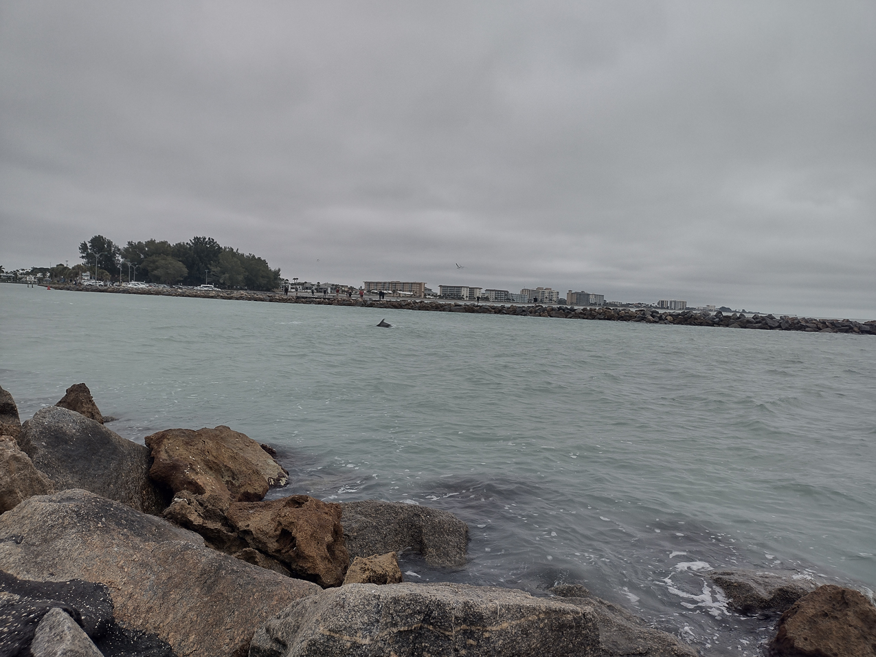 Fishing at Venice Harbor  ~~  