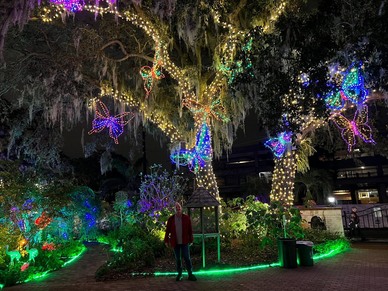 Selby Gardens Light Show December 2022  ~~  