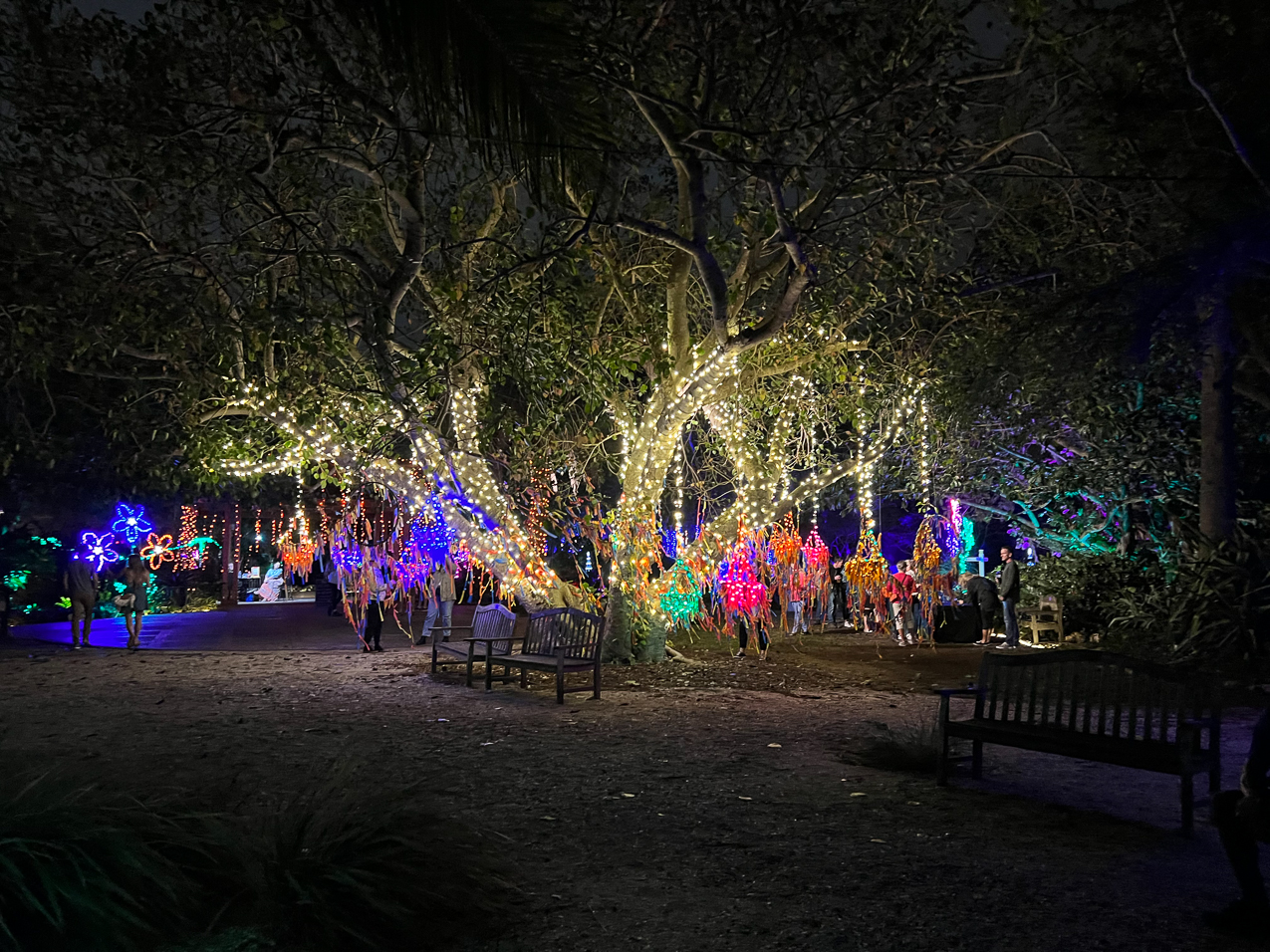 Selby Gardens Light Show December 2022  ~~  