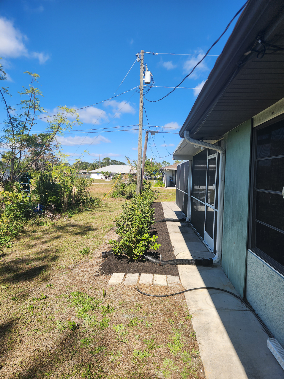 MomMom side yard trees and mulch  ~~  