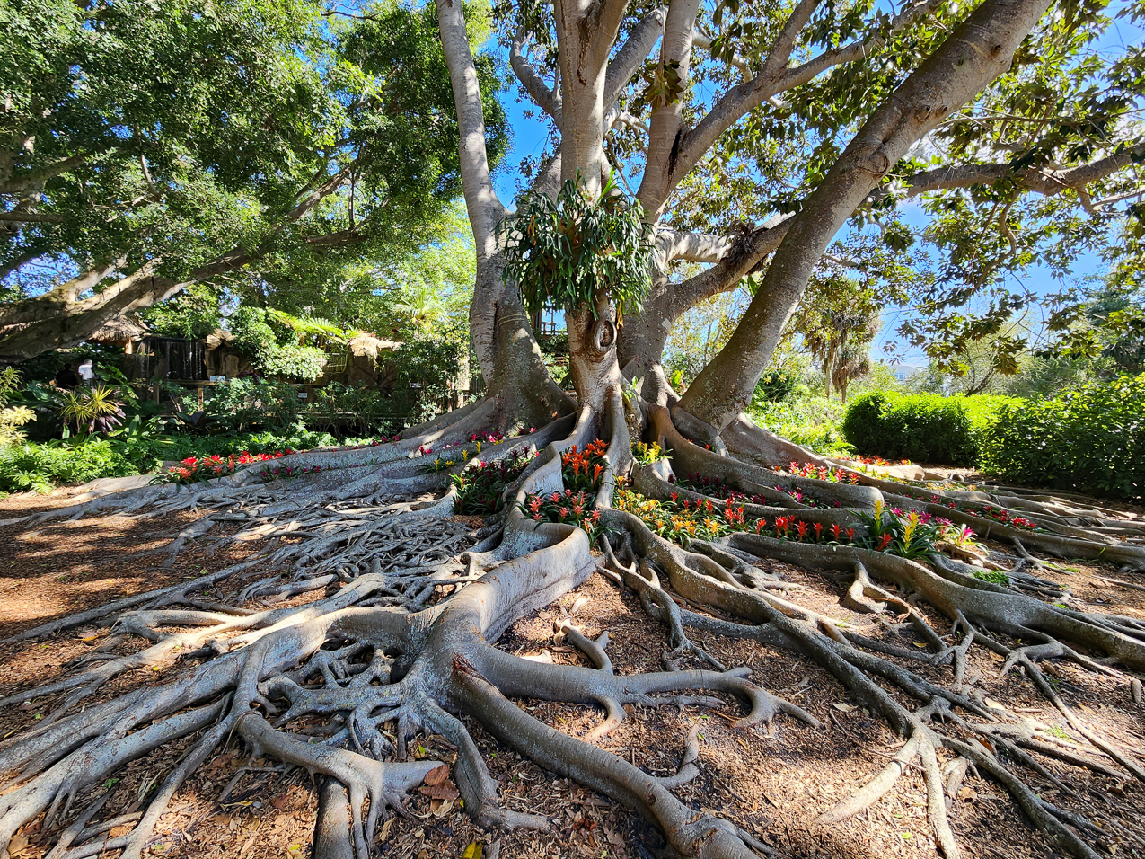 Selby Gardens and Marina Jacks  ~~  