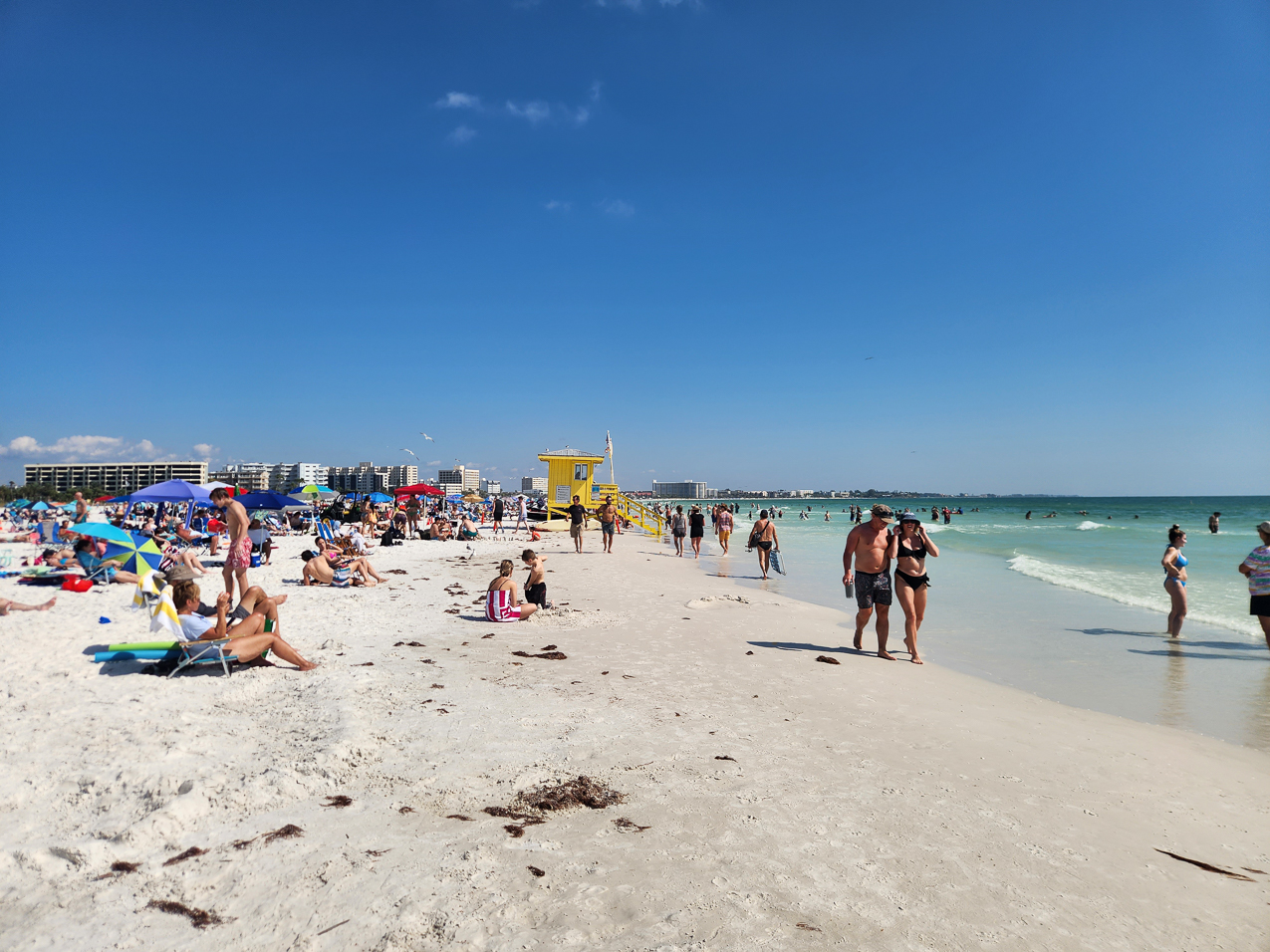 Siesta Key with Tara  ~~  