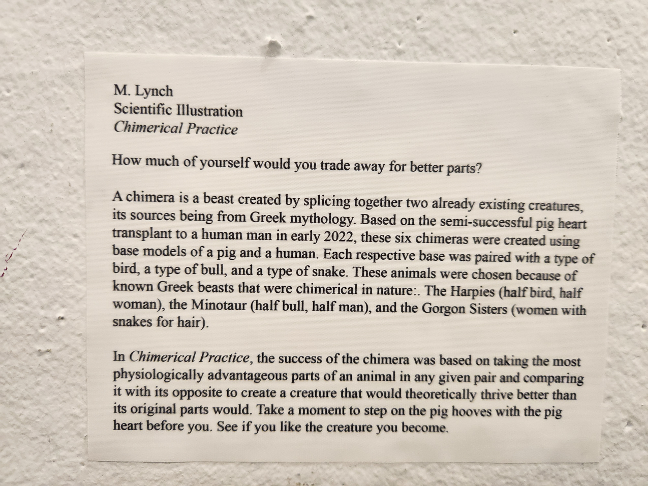 Mary Lynch - Arcadia Senior Thesis Exhibition May 2023  ~~  