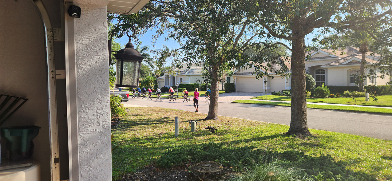 Typical day in fron of the shack on Scherer Way.  ~~  