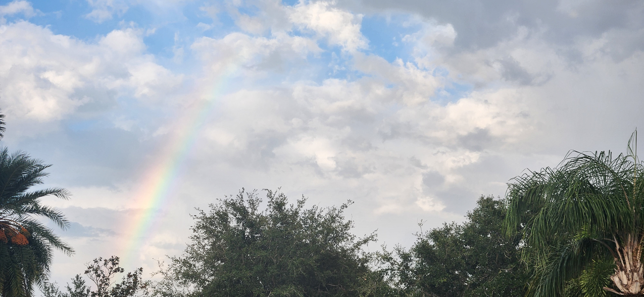 A typical day in Rivendale FL  ~~  Rainbow