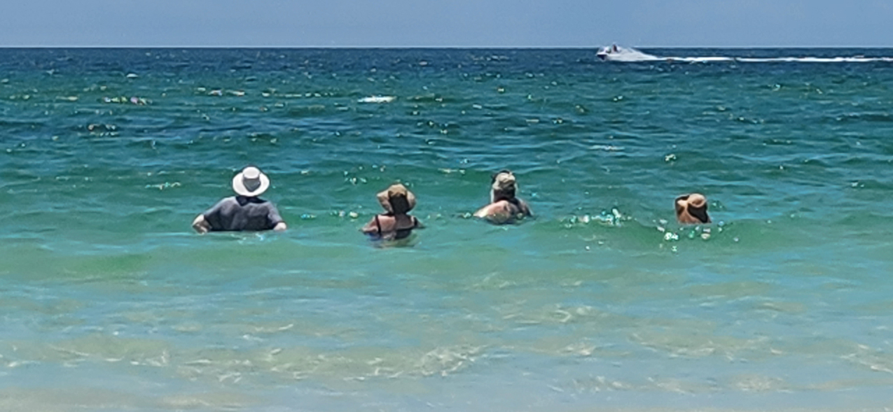 TNokomis Beach with the Walters and Lynches  ~~  